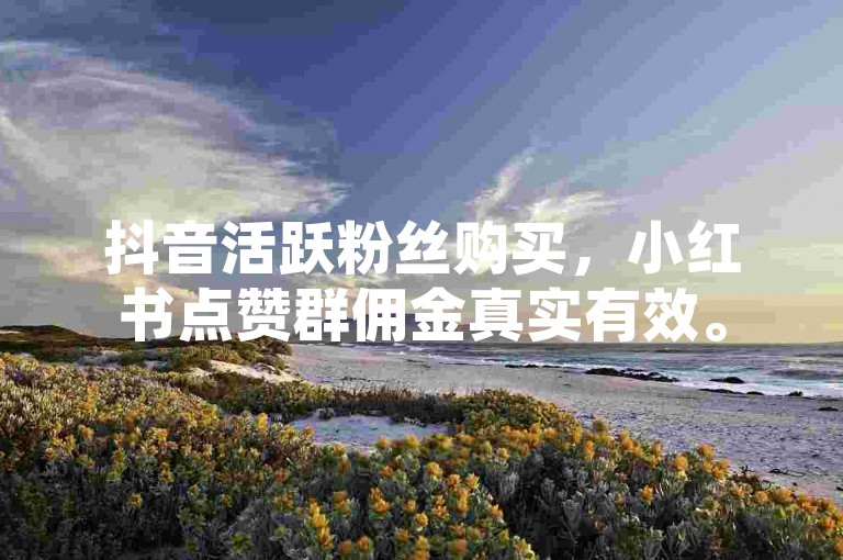 抖音活跃粉丝购买，小红书点赞群佣金真实有效。