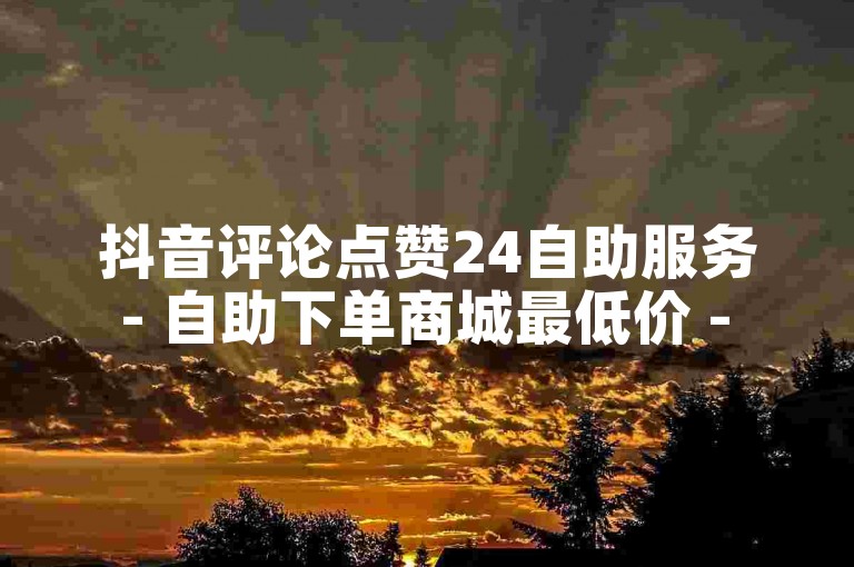 抖音评论点赞24自助服务 - 自助下单商城最低价 - 亿点卡盟震撼发布!