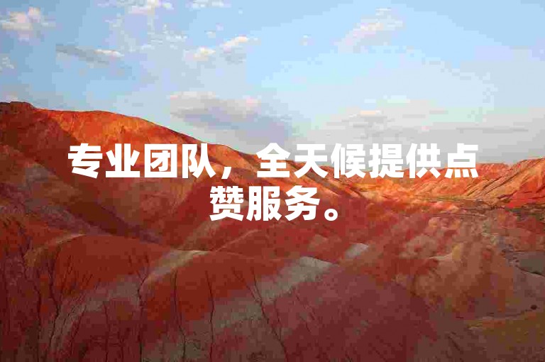 专业团队，全天候提供点赞服务。