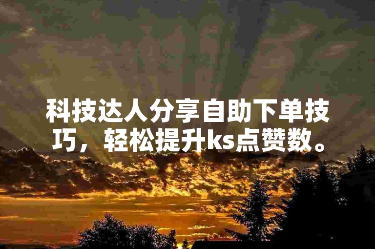 科技达人分享自助下单技巧，轻松提升ks点赞数。