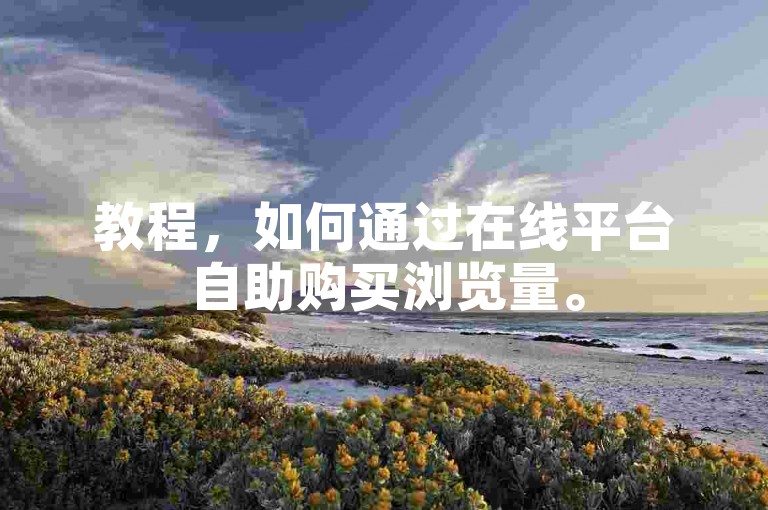 教程，如何通过在线平台自助购买浏览量。