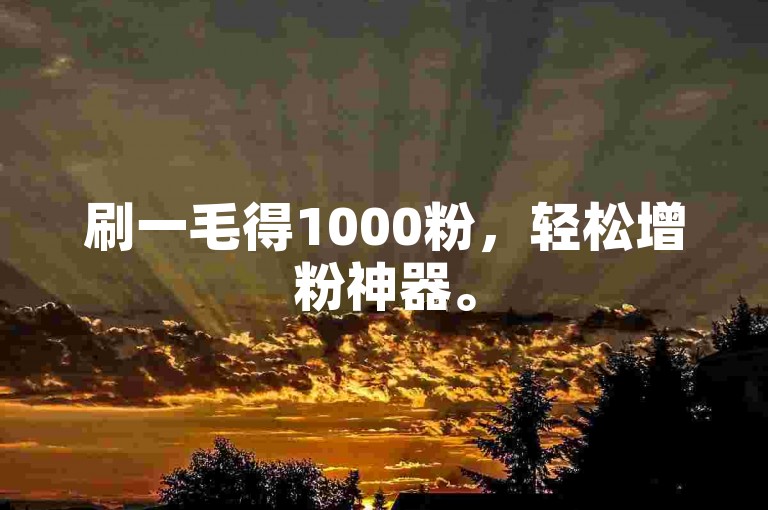 刷一毛得1000粉，轻松增粉神器。