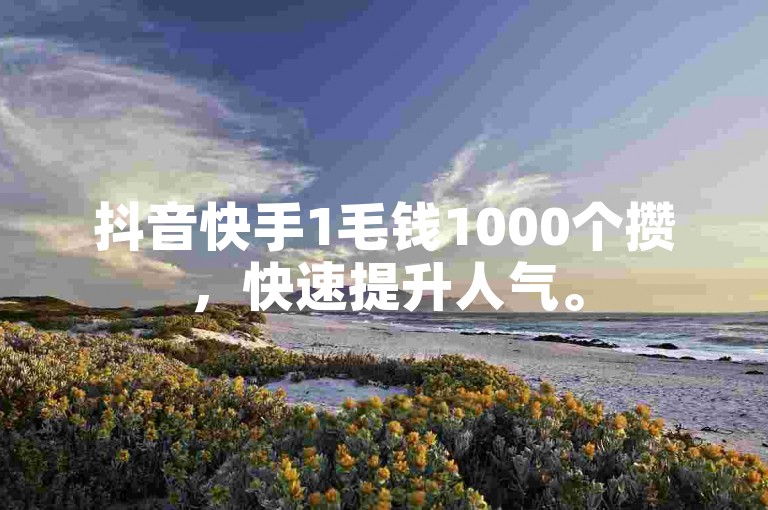 抖音快手1毛钱1000个攒，快速提升人气。