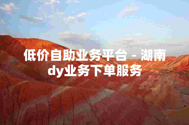 低价自助业务平台 - 湖南dy业务下单服务