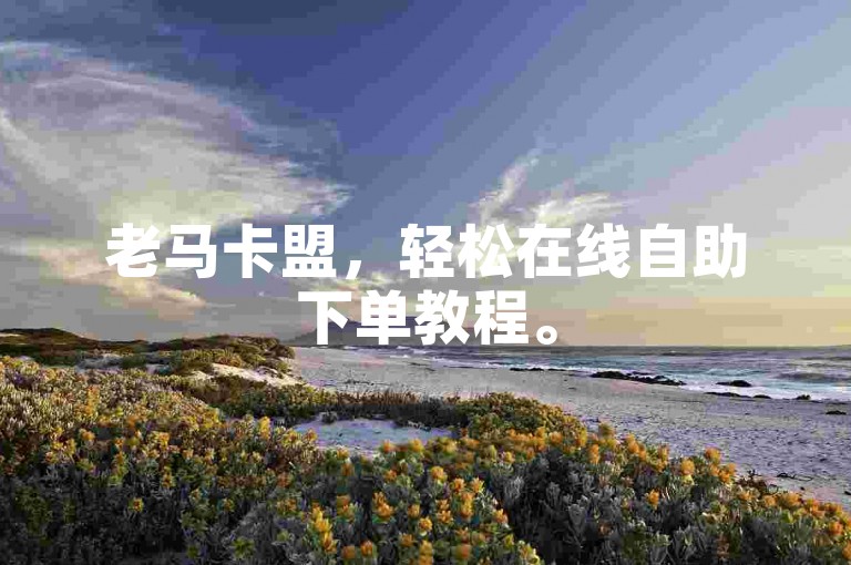 老马卡盟，轻松在线自助下单教程。