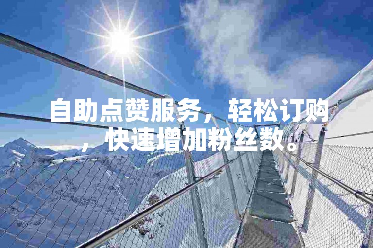 自助点赞服务，轻松订购，快速增加粉丝数。