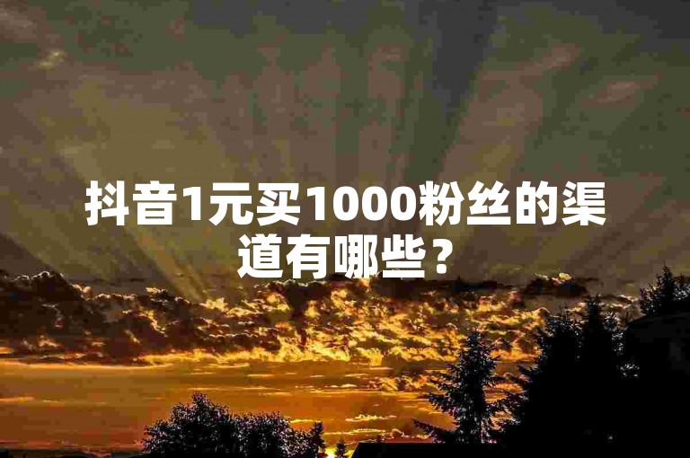 抖音1元买1000粉丝的渠道有哪些？
