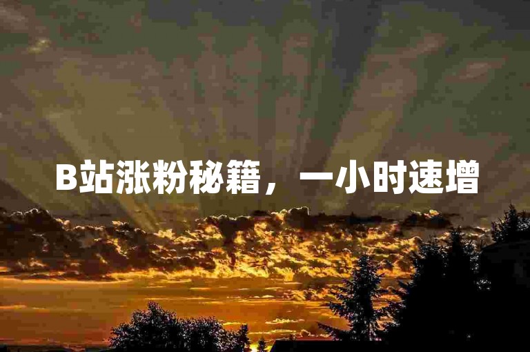 B站涨粉秘籍，一小时速增500精准粉丝！