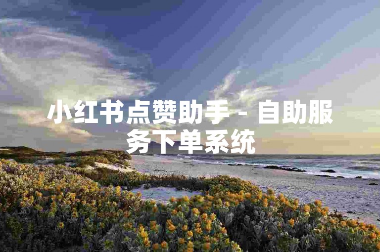 小红书点赞助手 - 自助服务下单系统