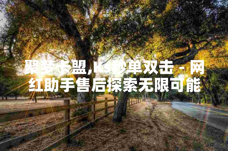 聚梦卡盟,Ks秒单双击 - 网红助手售后探索无限可能。