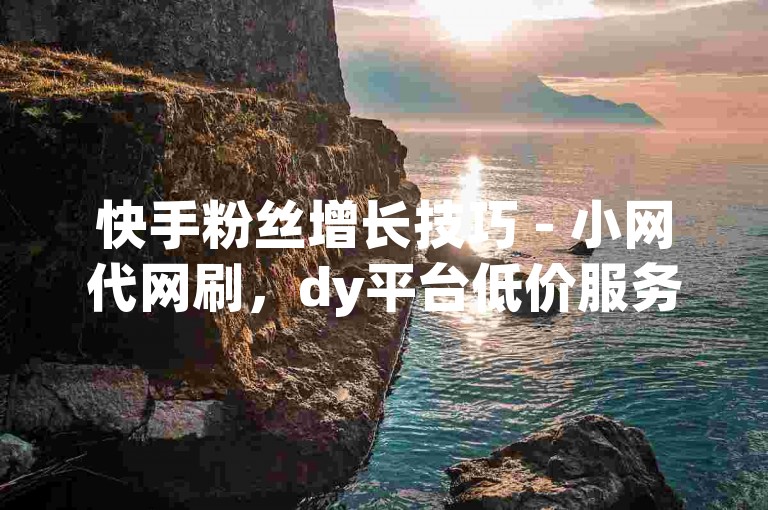 快手粉丝增长技巧 - 小网代网刷，dy平台低价服务。