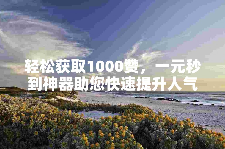 轻松获取1000赞，一元秒到神器助您快速提升人气！