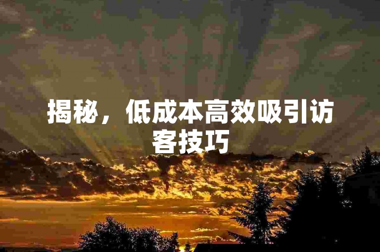 揭秘，低成本高效吸引访客技巧