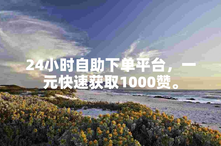 24小时自助下单平台，一元快速获取1000赞。