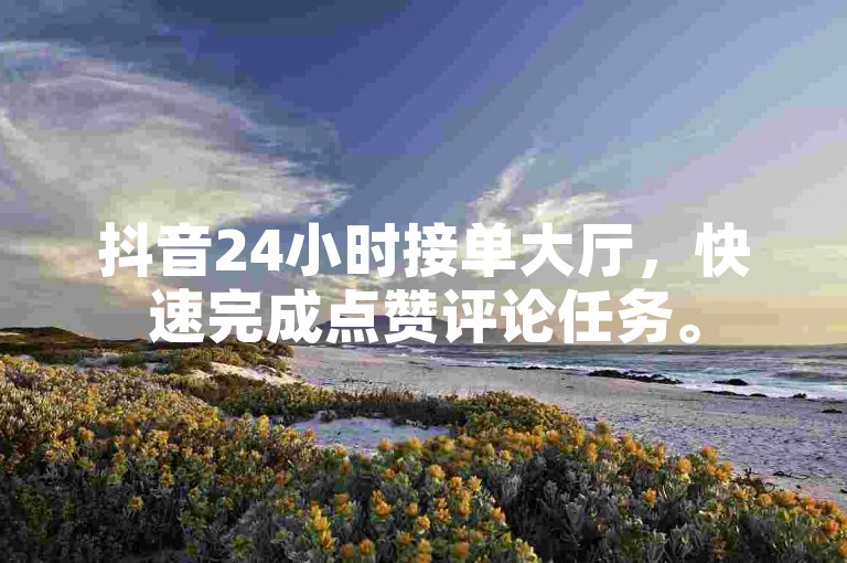 抖音24小时接单大厅，快速完成点赞评论任务。