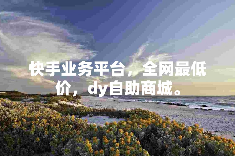 快手业务平台，全网最低价，dy自助商城。