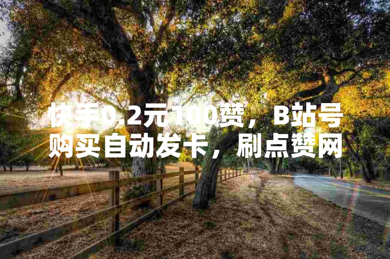快手0.2元100赞，B站号购买自动发卡，刷点赞网址推广。