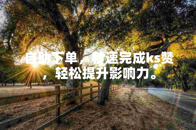 自助下单，秒速完成ks赞，轻松提升影响力。