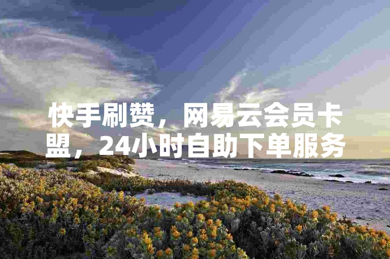 快手刷赞，网易云会员卡盟，24小时自助下单服务。