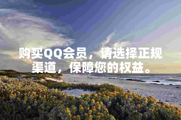 购买QQ会员，请选择正规渠道，保障您的权益。