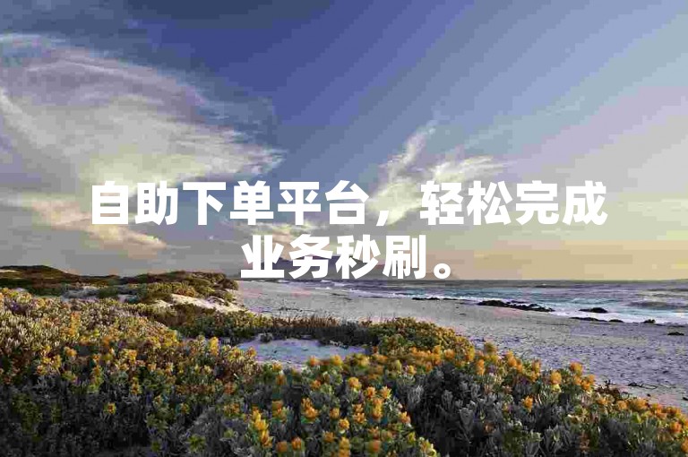 自助下单平台，轻松完成业务秒刷。