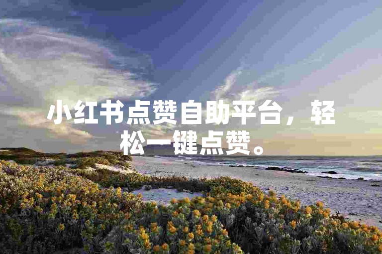小红书点赞自助平台，轻松一键点赞。
