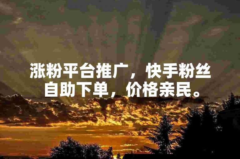 涨粉平台推广，快手粉丝自助下单，价格亲民。