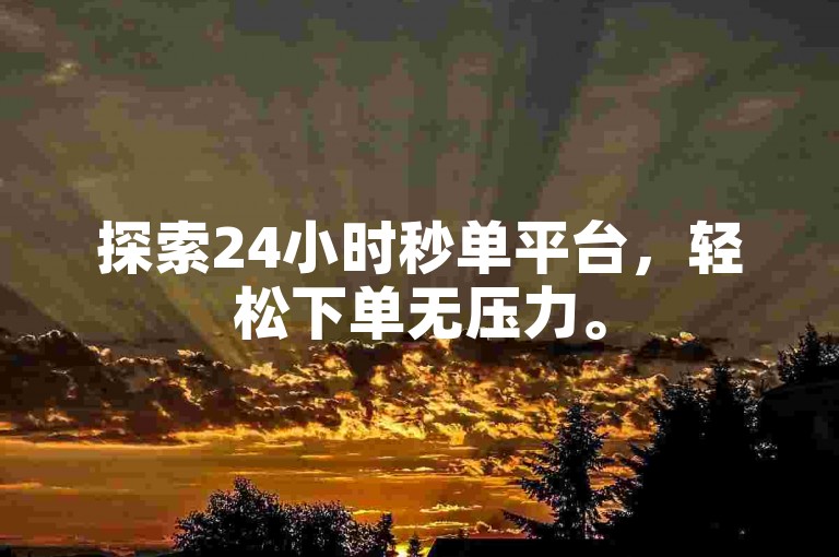 探索24小时秒单平台，轻松下单无压力。