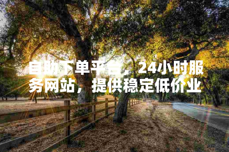 自助下单平台，24小时服务网站，提供稳定低价业务。