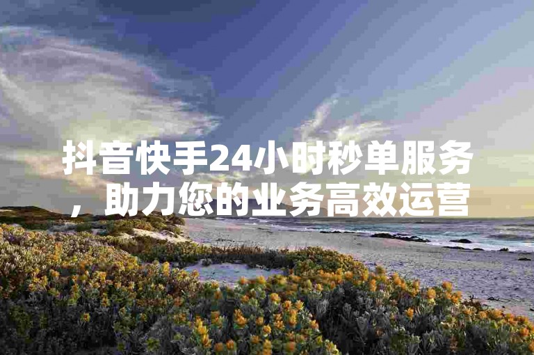 抖音快手24小时秒单服务，助力您的业务高效运营。