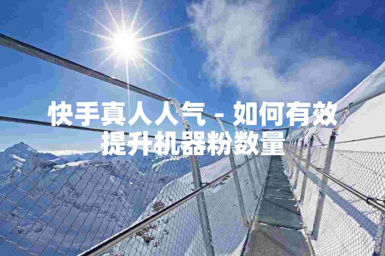 快手真人人气 - 如何有效提升机器粉数量
