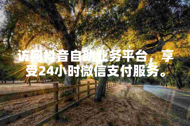 访问抖音自助业务平台，享受24小时微信支付服务。
