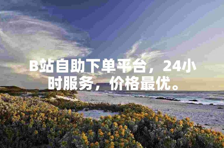 B站自助下单平台，24小时服务，价格最优。