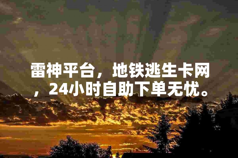 雷神平台，地铁逃生卡网，24小时自助下单无忧。