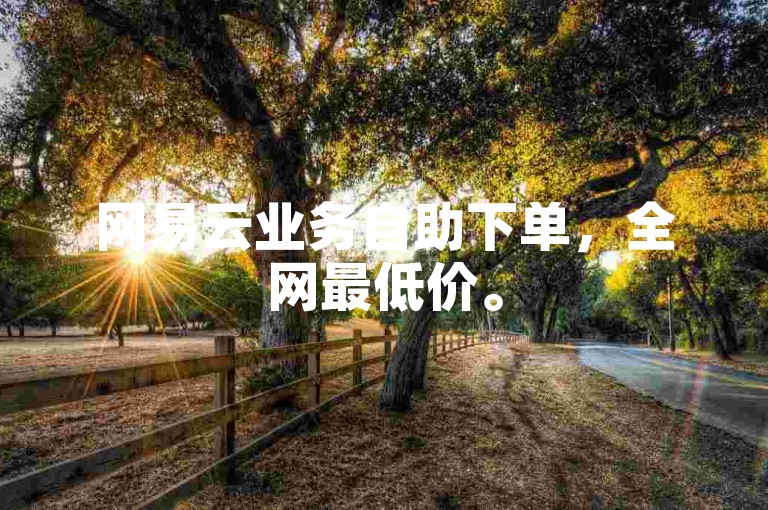 网易云业务自助下单，全网最低价。