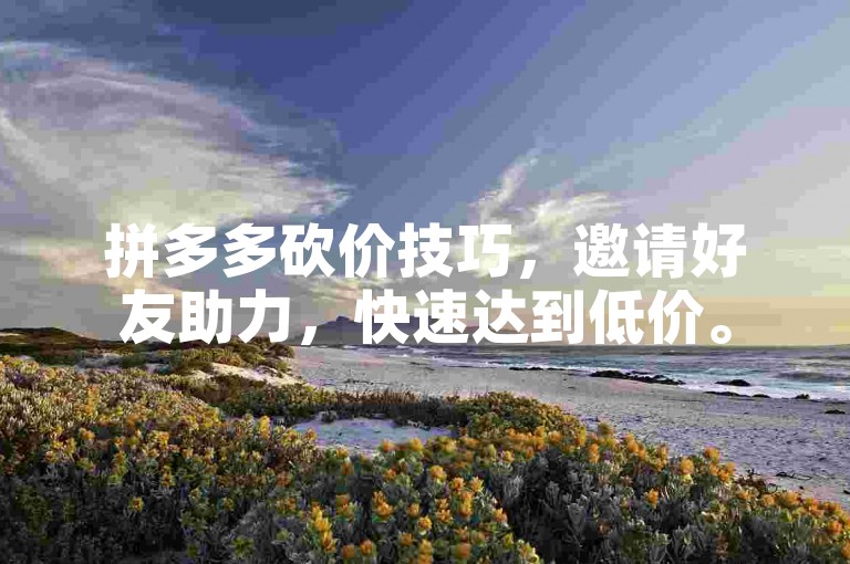 拼多多砍价技巧，邀请好友助力，快速达到低价。