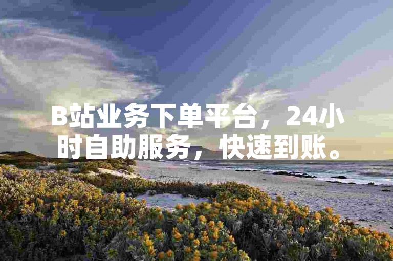 B站业务下单平台，24小时自助服务，快速到账。