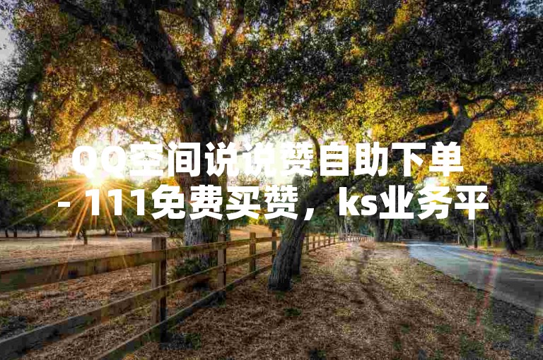 QQ空间说说赞自助下单 - 111免费买赞，ks业务平台低价优惠。