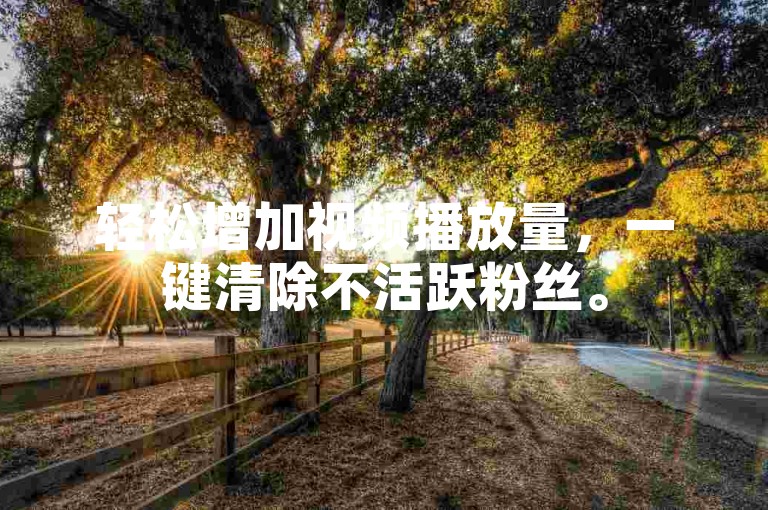 轻松增加视频播放量，一键清除不活跃粉丝。