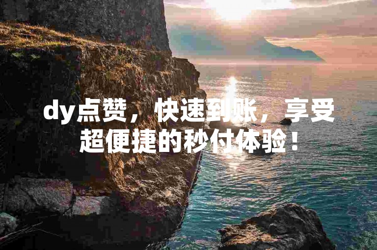 dy点赞，快速到账，享受超便捷的秒付体验！