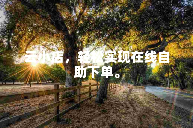 云小店，轻松实现在线自助下单。