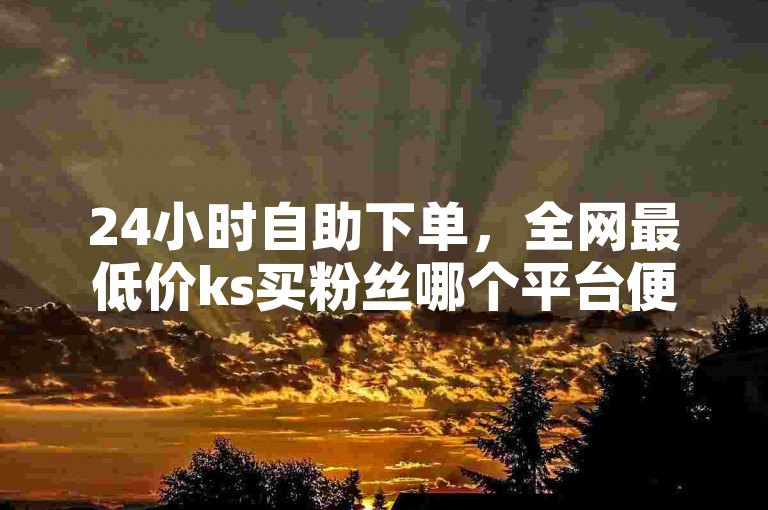 24小时自助下单，全网最低价ks买粉丝哪个平台便宜？