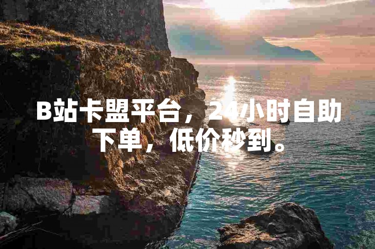 B站卡盟平台，24小时自助下单，低价秒到。