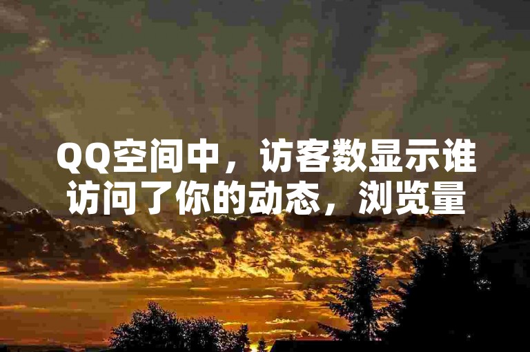 QQ空间中，访客数显示谁访问了你的动态，浏览量则是内容被查看的次数。