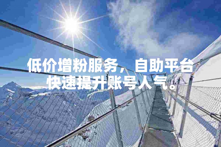 低价增粉服务，自助平台快速提升账号人气。