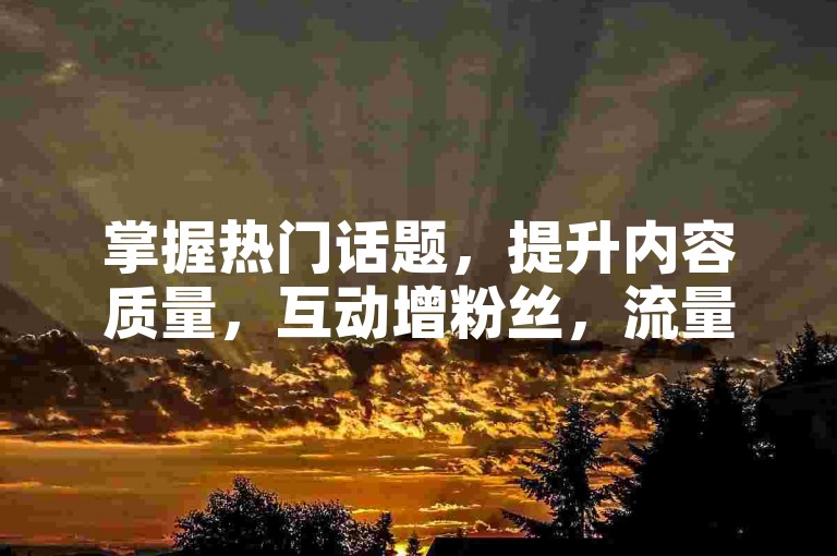 掌握热门话题，提升内容质量，互动增粉丝，流量自然涨。