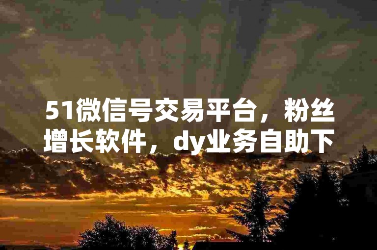 51微信号交易平台，粉丝增长软件，dy业务自助下单。