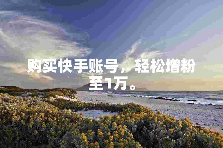 购买快手账号，轻松增粉至1万。