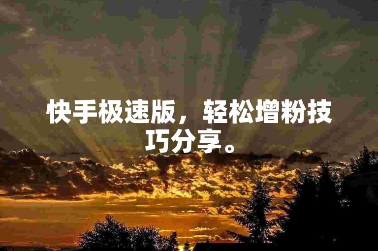 快手极速版，轻松增粉技巧分享。