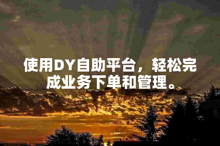 使用DY自助平台，轻松完成业务下单和管理。